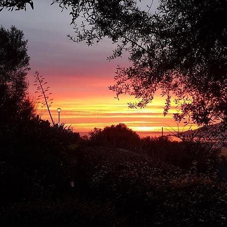 Un Charme Absolu Villa Bastelicaccia Buitenkant foto