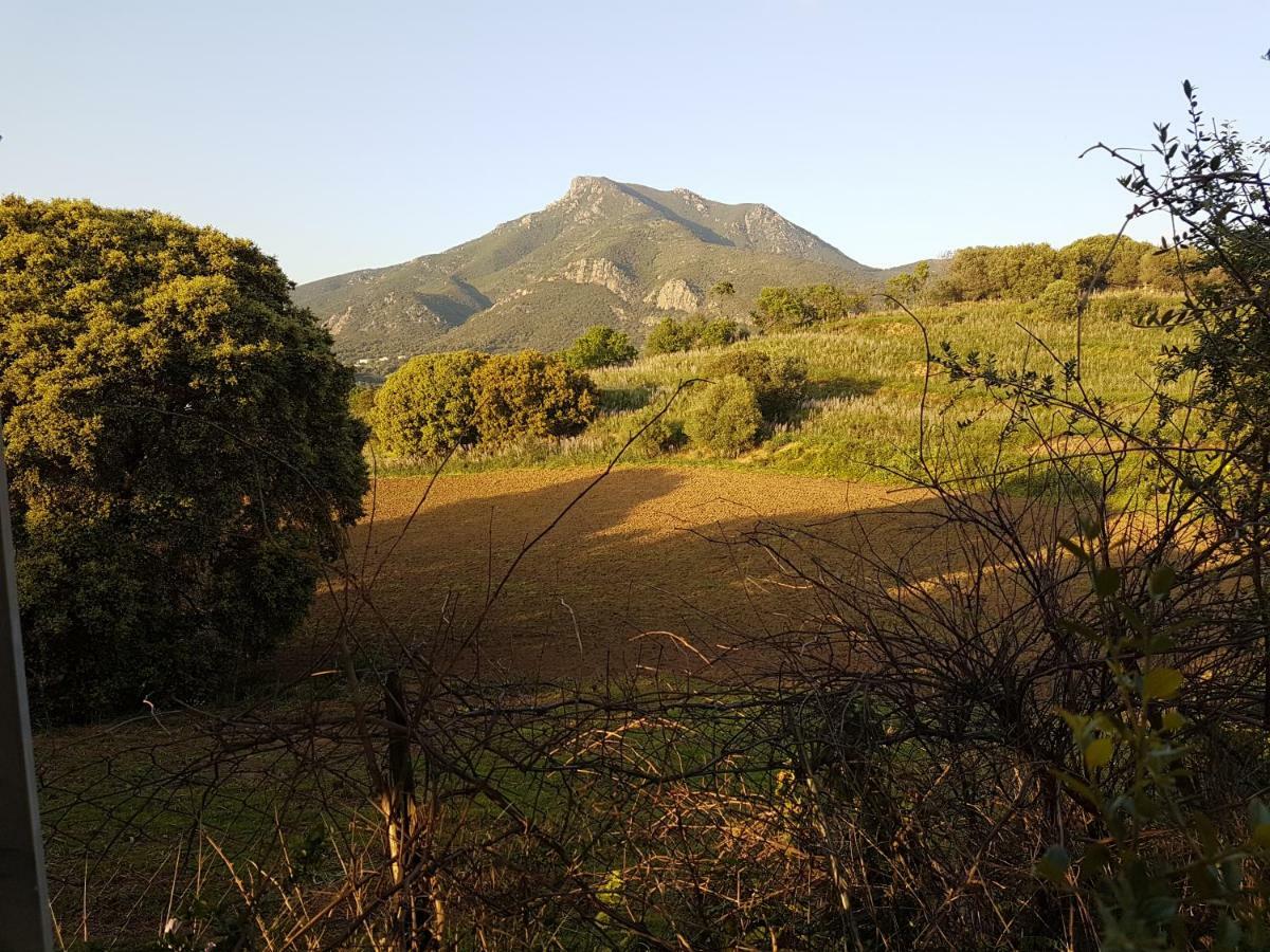 Un Charme Absolu Villa Bastelicaccia Buitenkant foto